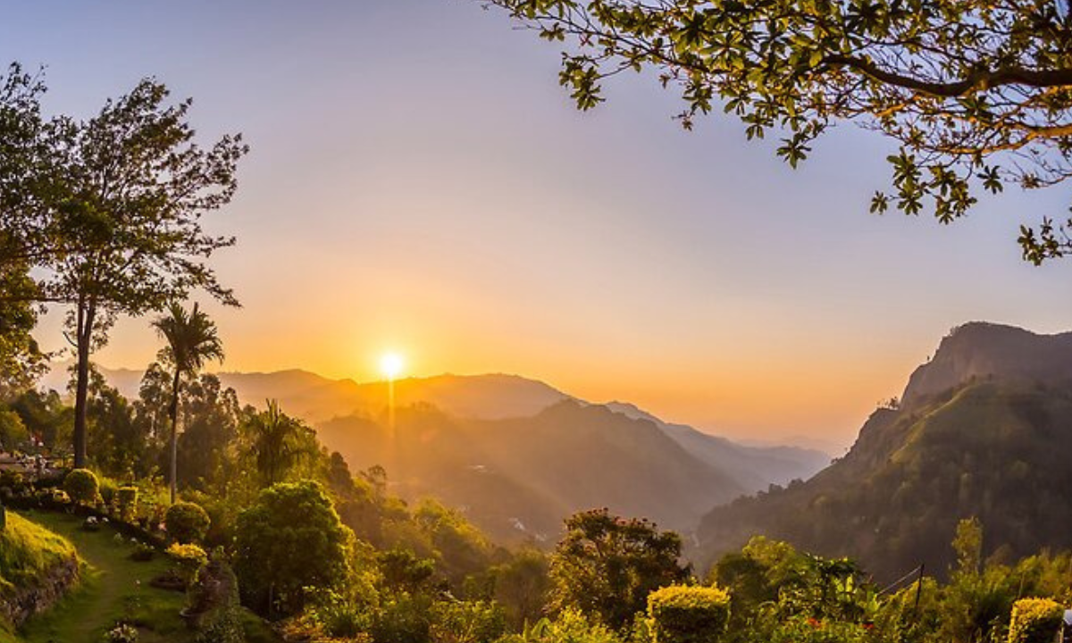 Contact Natural Tours & Travels