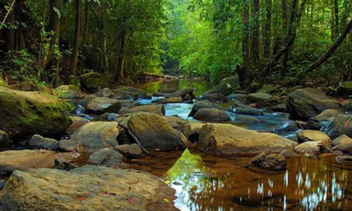 Nature and Heritage Deep Dive
