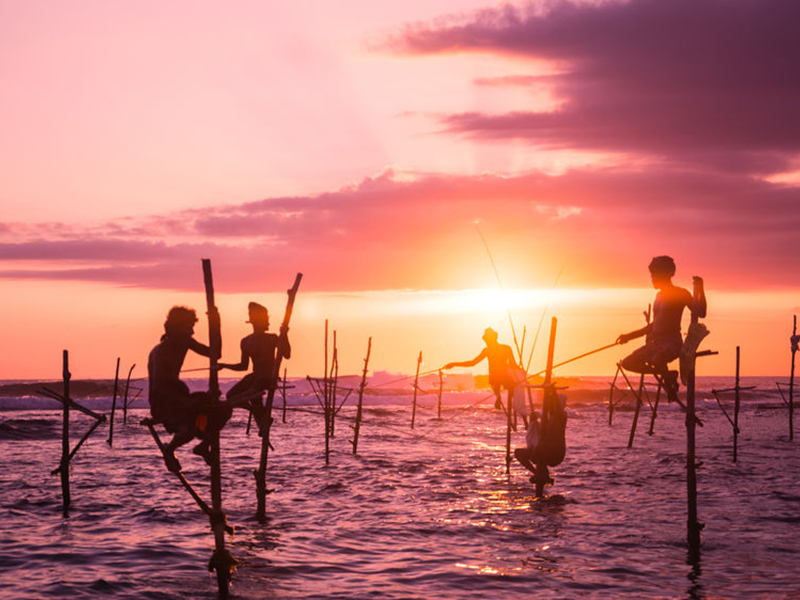 Golden Beaches