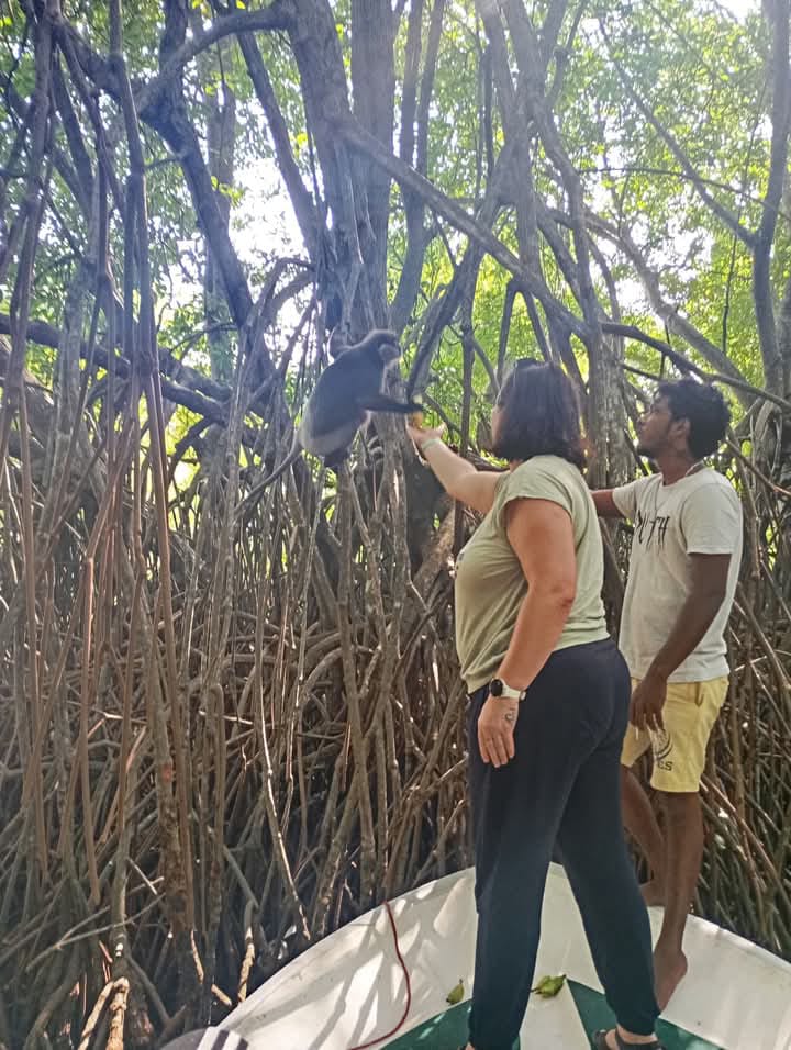 Sri Lanka Memory 15