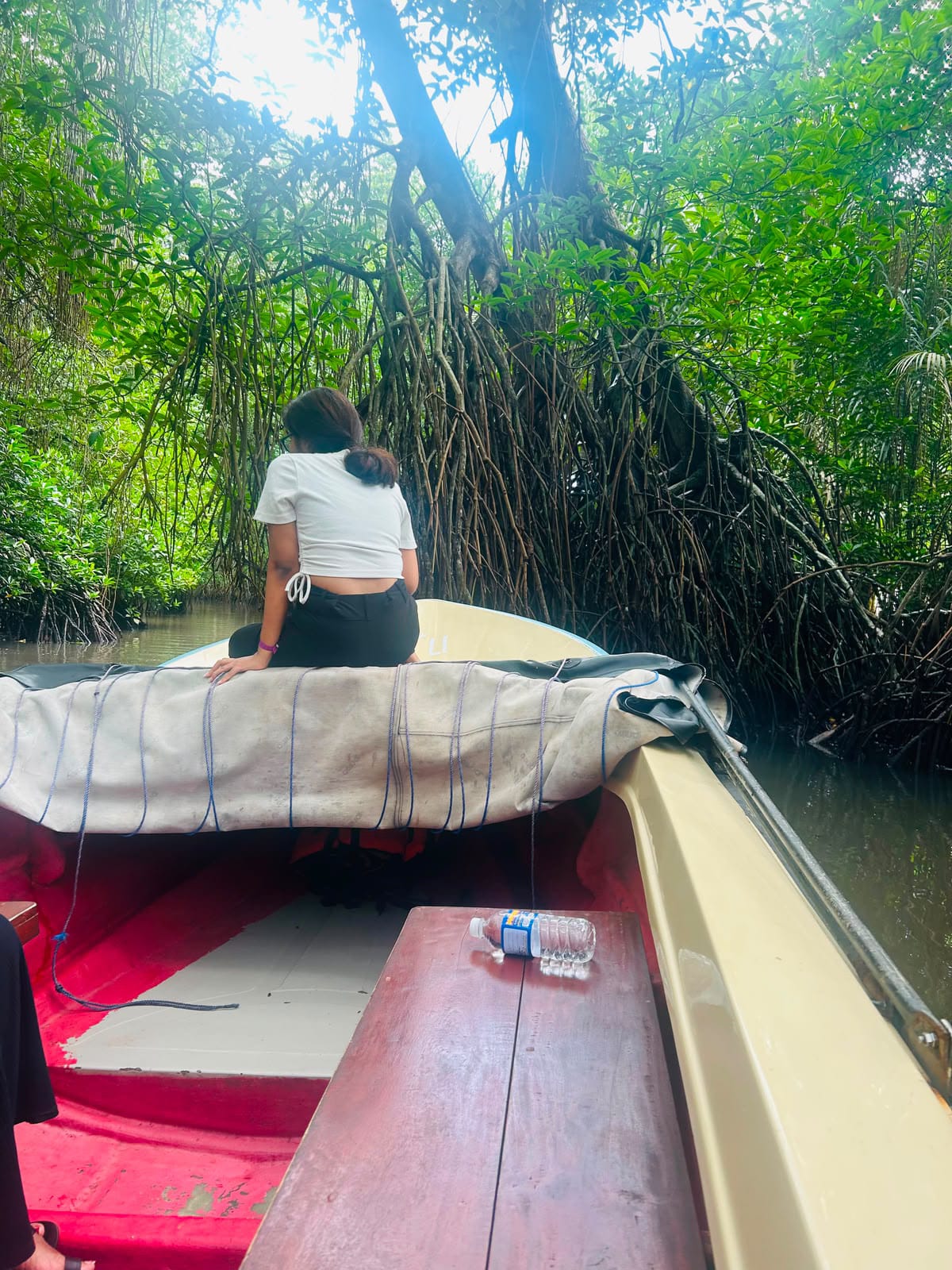 Sri Lanka Memory 16