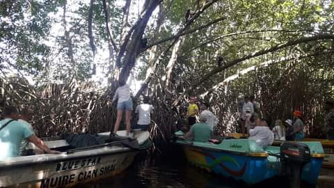 Sri Lanka Memory 20