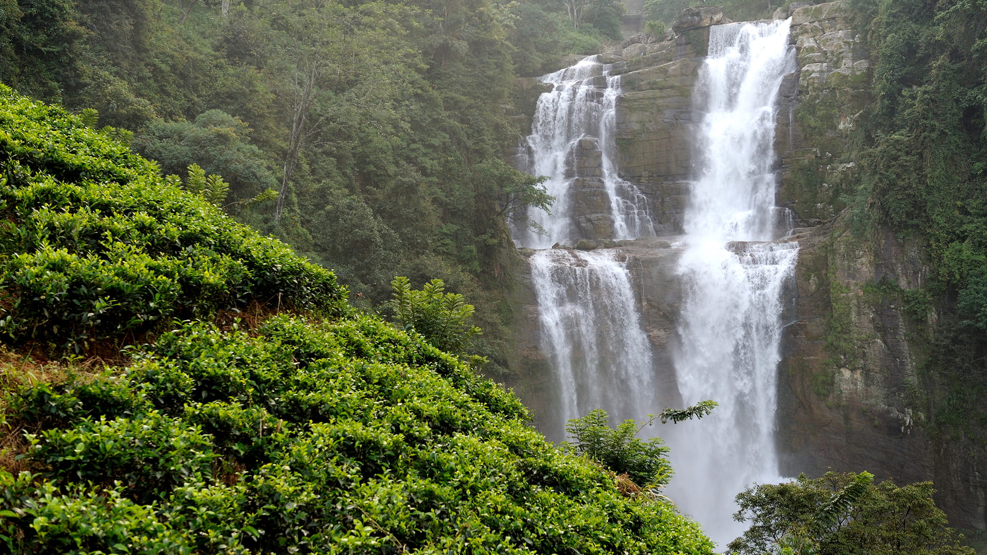 Ramboda Falls